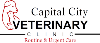 Capital City Vet Clinic